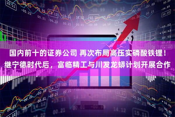 国内前十的证券公司 再次布局高压实磷酸铁锂！继宁德时代后，富临精工与川发龙蟒计划开展合作