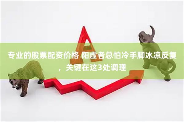 专业的股票配资价格 阳虚者总怕冷手脚冰凉反复，关键在这3处调理
